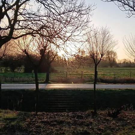 Rosita * Noyelles-sur-Mer