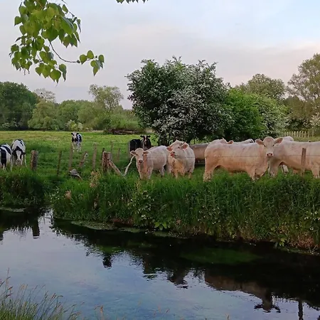 Rosita * Noyelles-sur-Mer